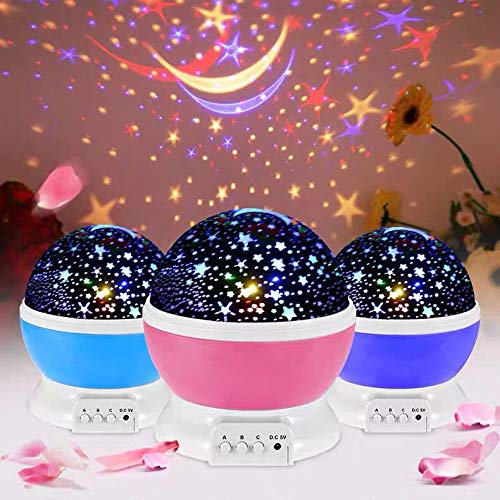 23079