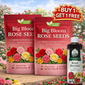 EverBloom Climbing Roses Seeds
