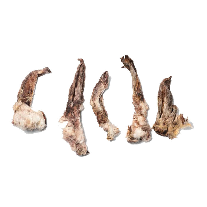 Healthy Paws Natural Dog Treat Bag 20+ Pcs