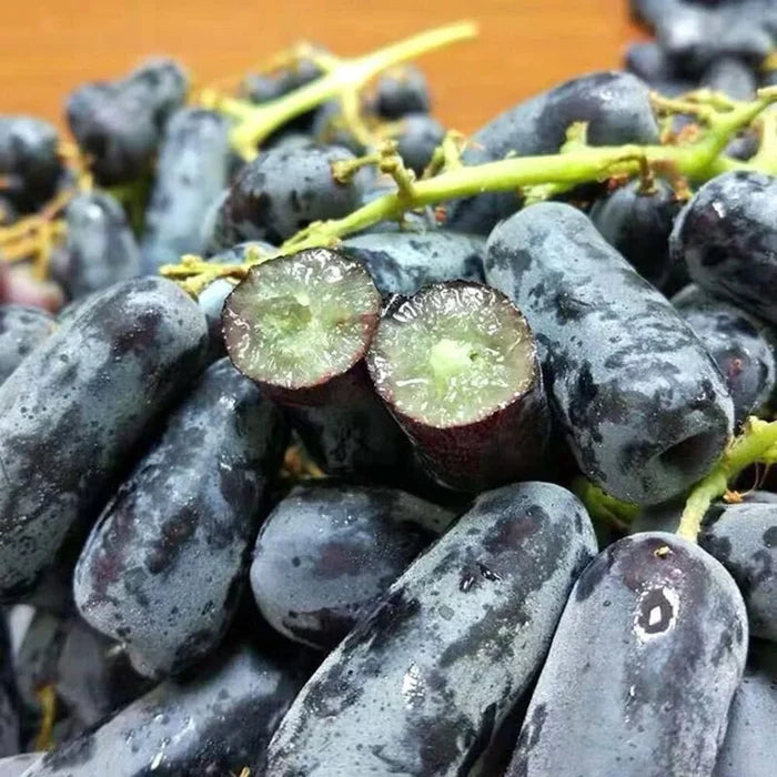 Imported Sweet Sapphire Grape Seeds