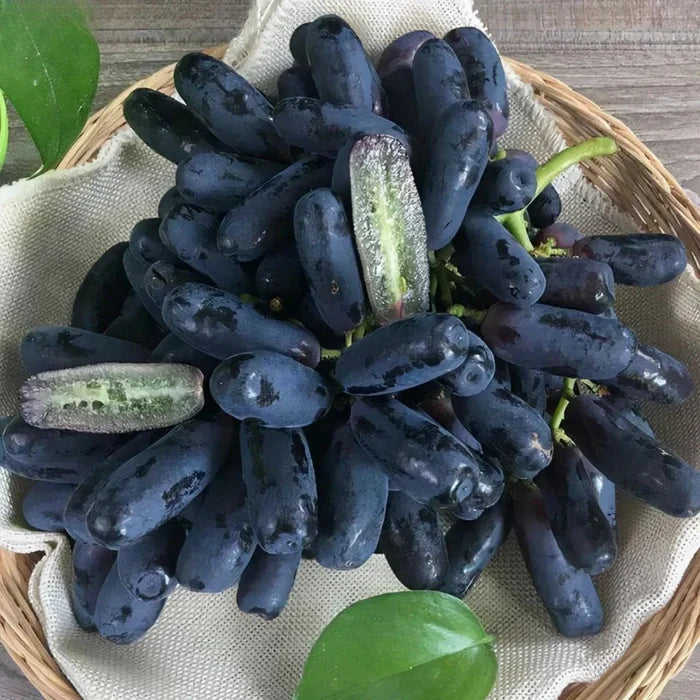 Imported Sweet Sapphire Grape Seeds