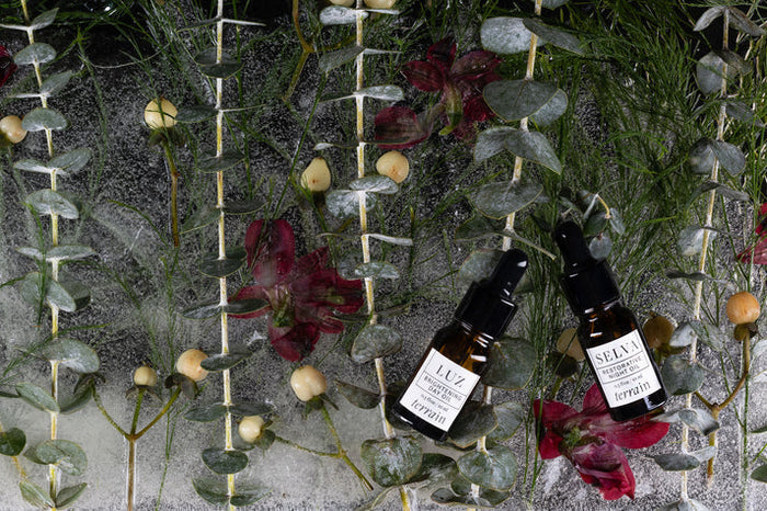 TERRAIN - Face Oil Discovery Set - Superior Saunas